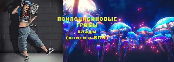 гидропоника Абаза
