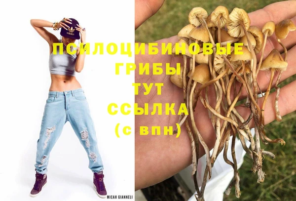 гидропоника Абаза
