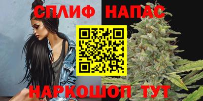 a pvp Шелехов