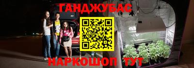 a pvp Шелехов
