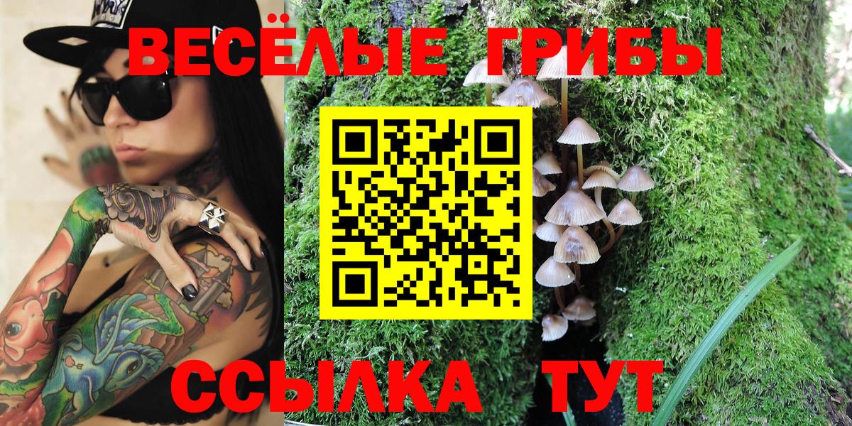 Галлюциногенные грибы Magic Shrooms Кохма