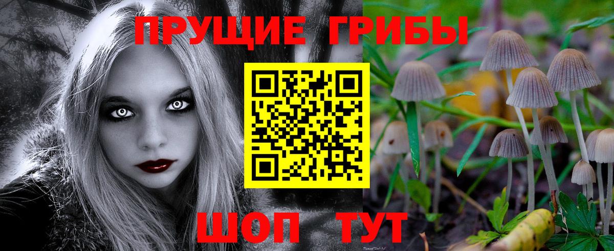 Галлюциногенные грибы MAGIC MUSHROOMS  даркнет сайт  Вход с VPN  Кохма  Галлюциногенные грибы Psilocybe 